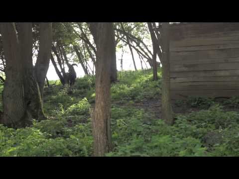 Imázsfilm 2014. Ócsárd, helytörténeti gyűjtemény.